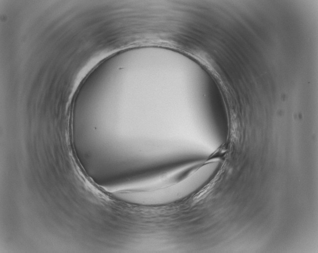 X0000053121102200508012145