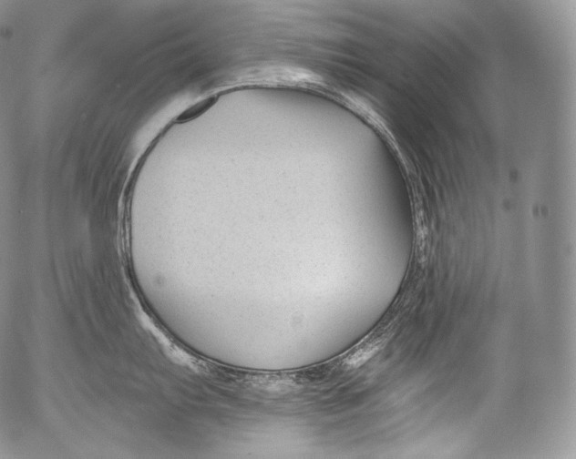 X0000053121103200508012145