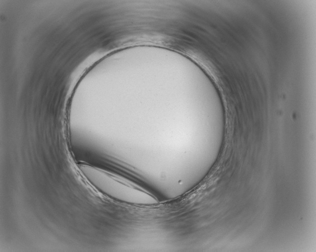 X0000053121104200508012145