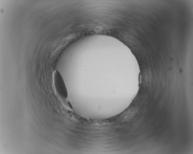 X0000053121105200508012144