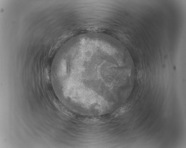 X0000053121106200508012144