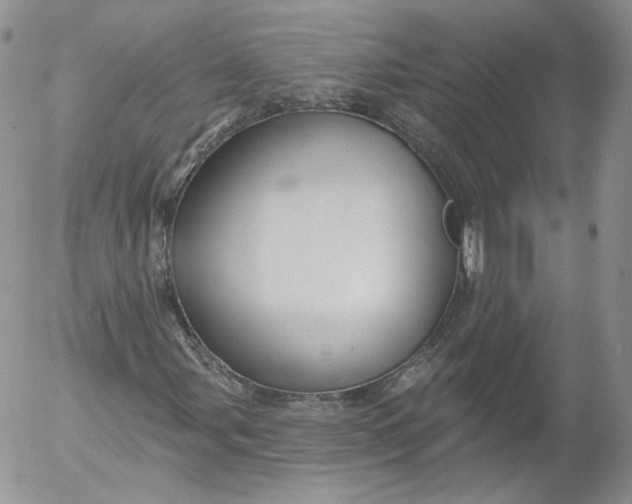 X0000053121107200508012144