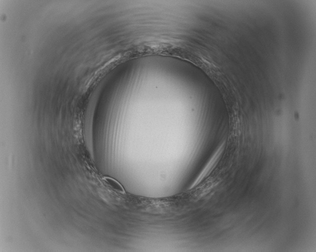 X0000053121109200508012144