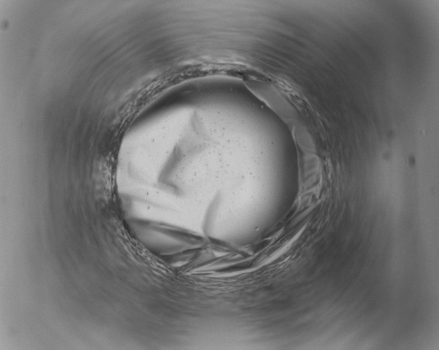 X0000053121110200508012144