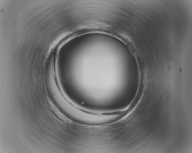 X0000053121114200508012144