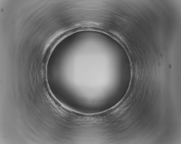 X0000053121115200508012144