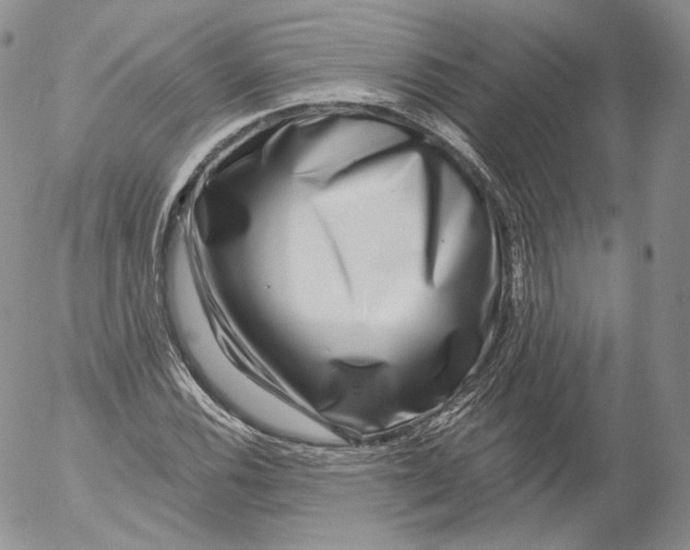 X0000053121116200508012144