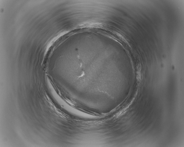 X0000053121117200508012144