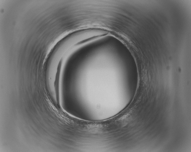 X0000053121118200508012144