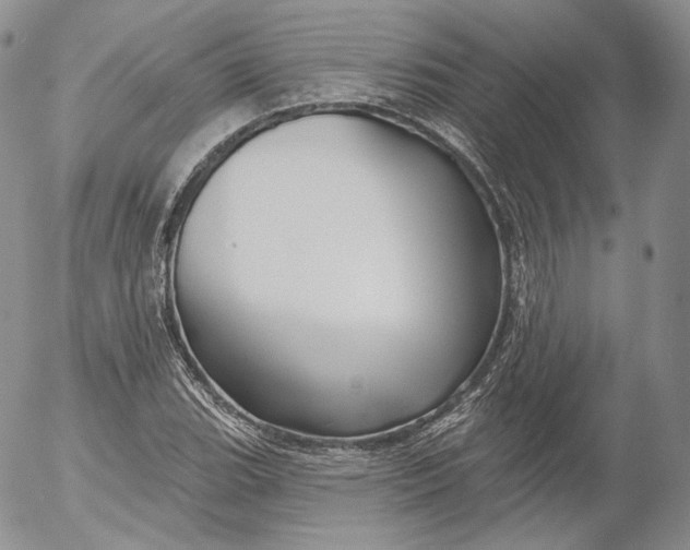 X0000053121119200508012144