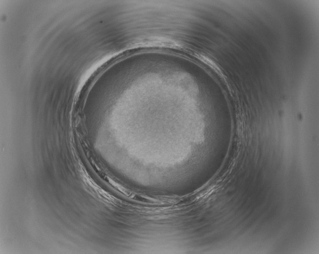 X0000053121120200508012144