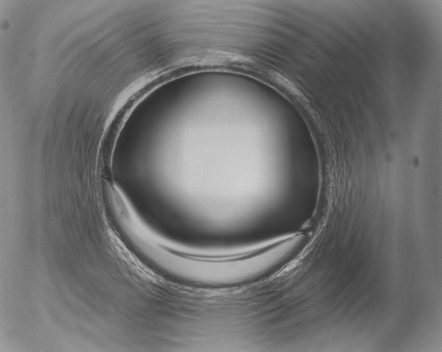 X0000053121122200508012144