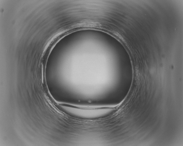 X0000053121123200508012144