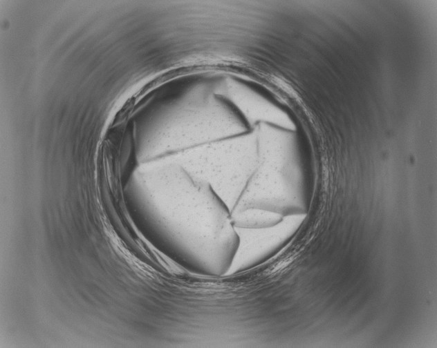 X0000053121124200508012144