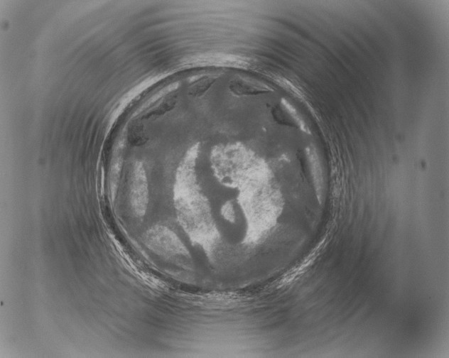 X0000053121125200508012144