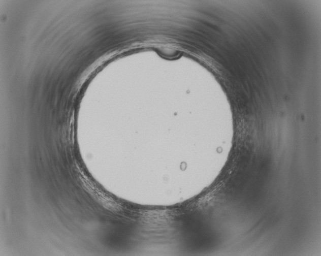 X0000053121126200508012144