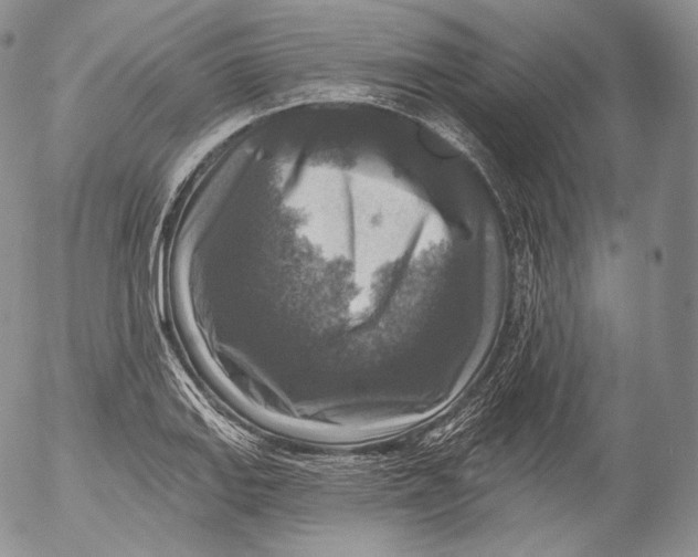 X0000053121127200508012144