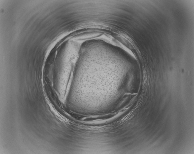 X0000053121128200508012144