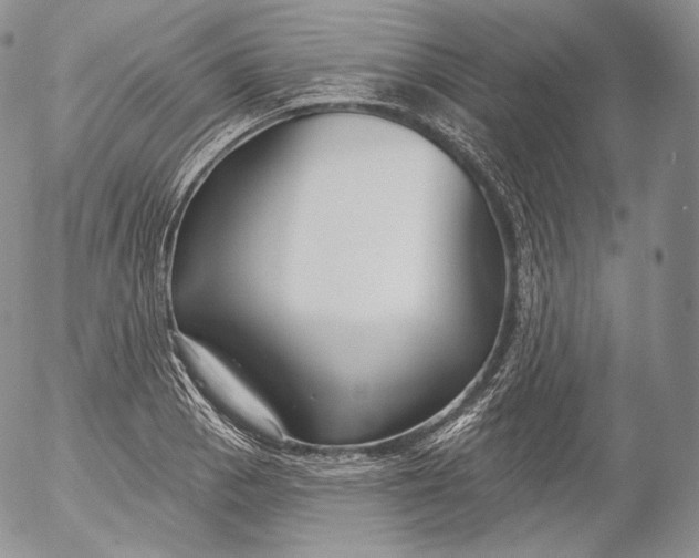 X0000053121129200508012144