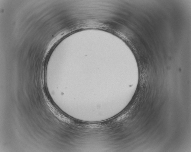 X0000053121130200508012144