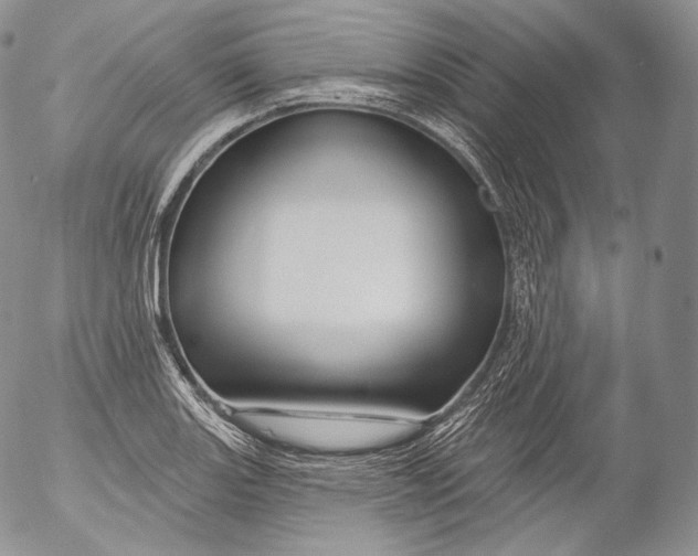 X0000053121131200508012144