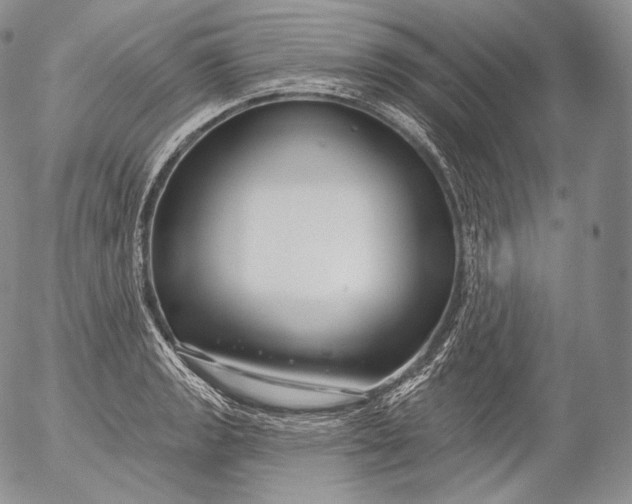 X0000053121133200508012144