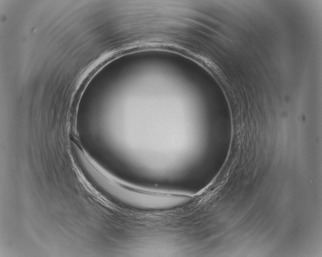 X0000053121134200508012144