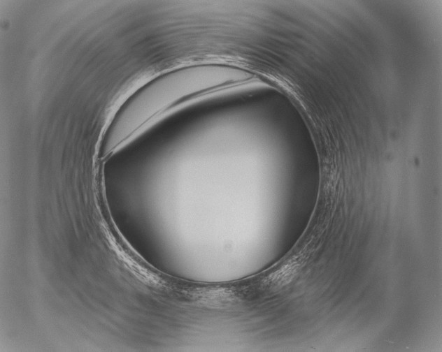 X0000053121135200508012144