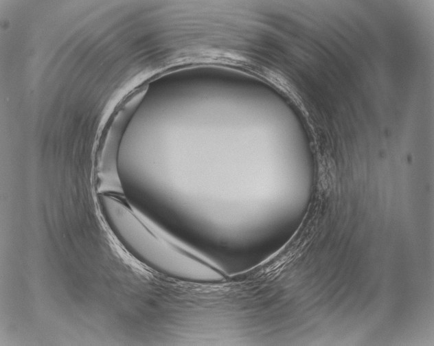 X0000053121136200508012144