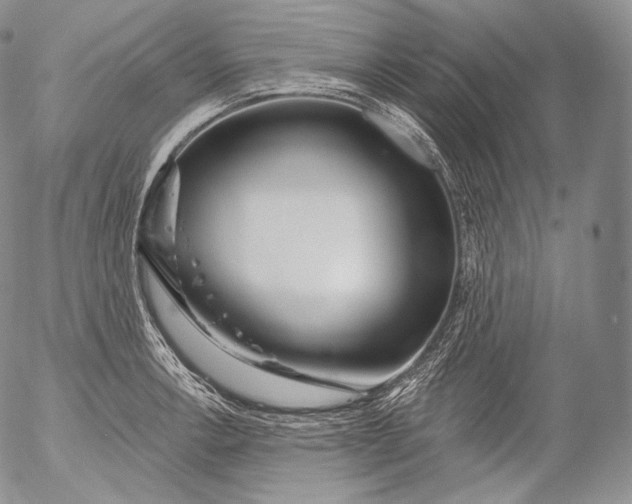 X0000053121138200508012144