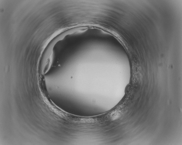 X0000053121142200508012145