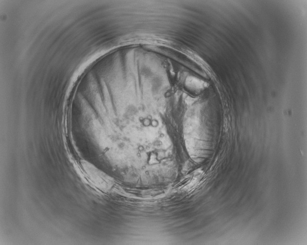 X0000053121144200508012145