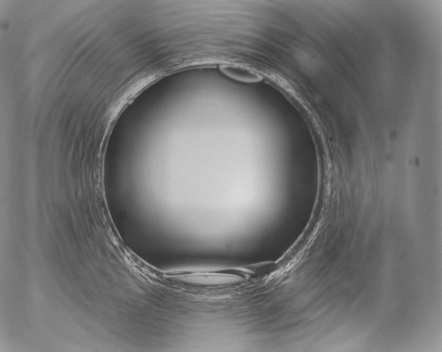 X0000053121145200508012145