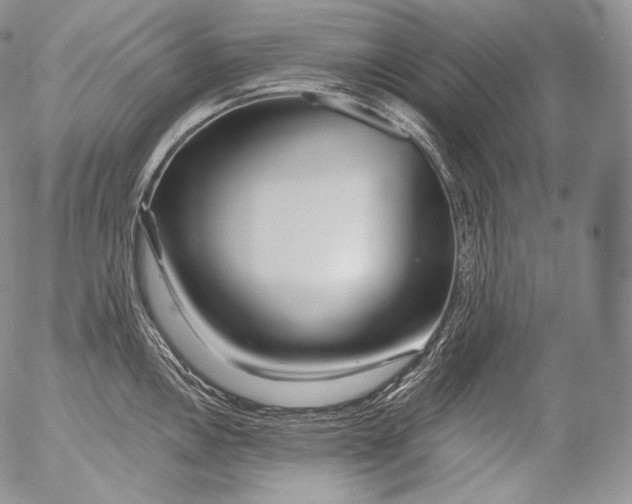 X0000053121146200508012145