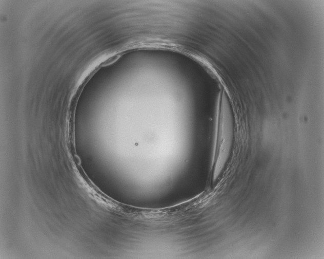 X0000053121147200508012145