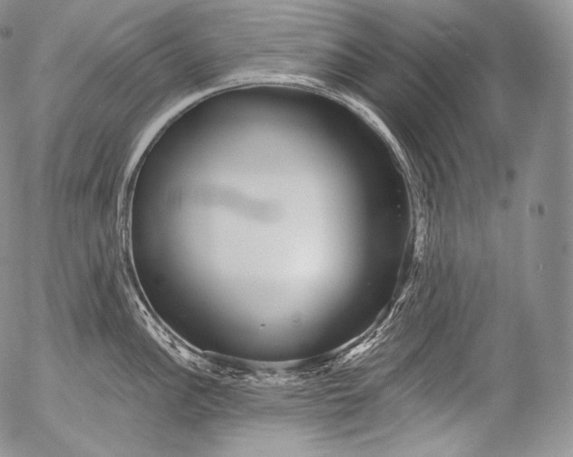 X0000053121148200508012145