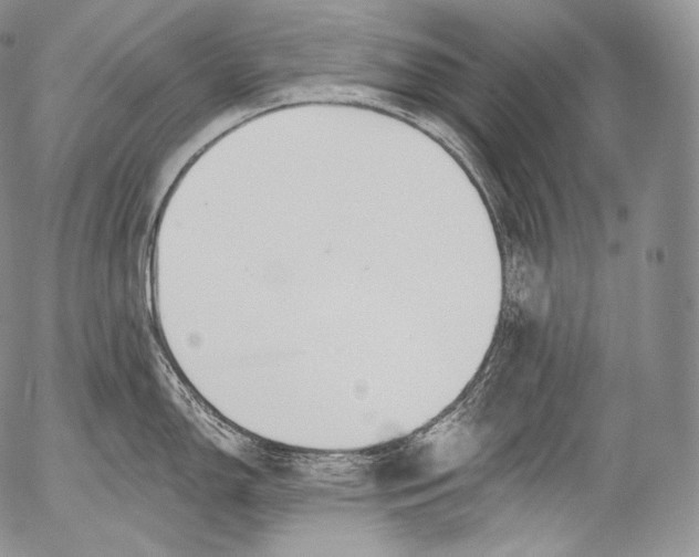 X0000053121150200508012145