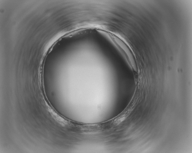 X0000053121151200508012145