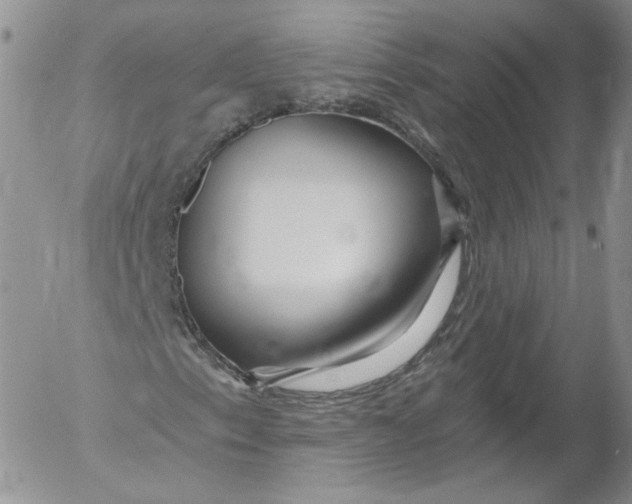 X0000053121153200508012144