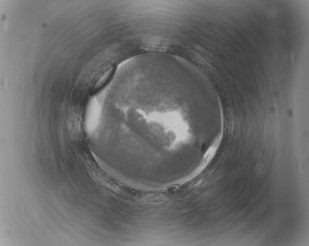 X0000053121154200508012144