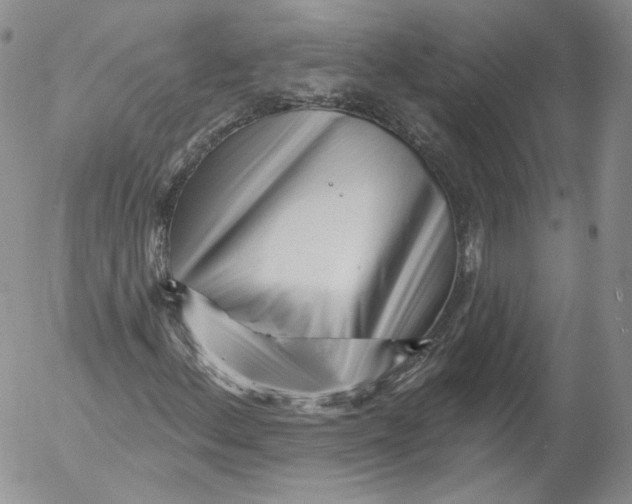 X0000053121156200508012144