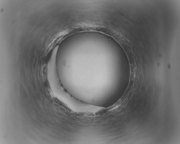 X0000053121157200508012144