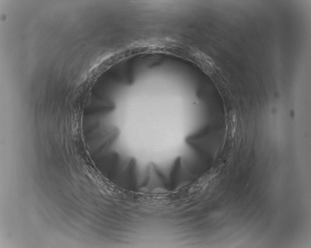 X0000053121158200508012144