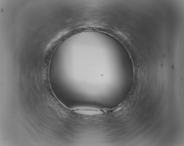 X0000053121159200508012144