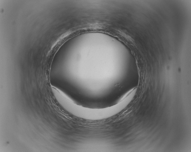 X0000053121160200508012144