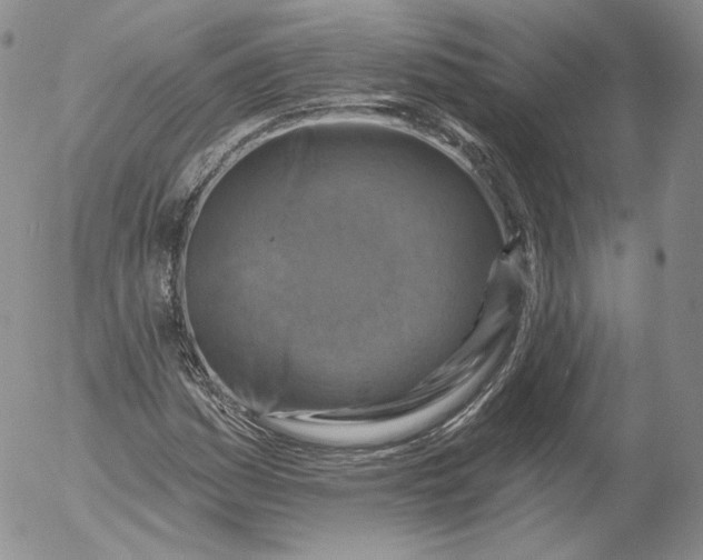 X0000053121161200508012144