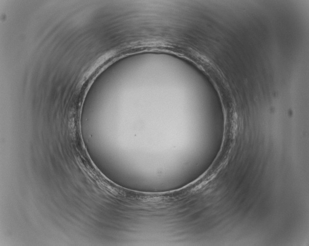 X0000053121162200508012144