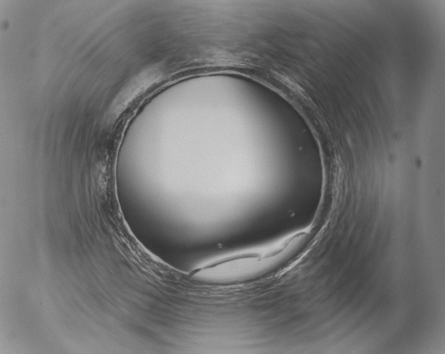 X0000053121163200508012144