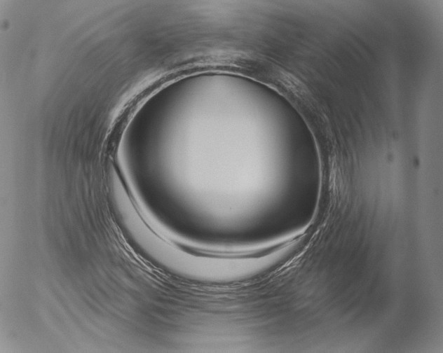 X0000053121164200508012144