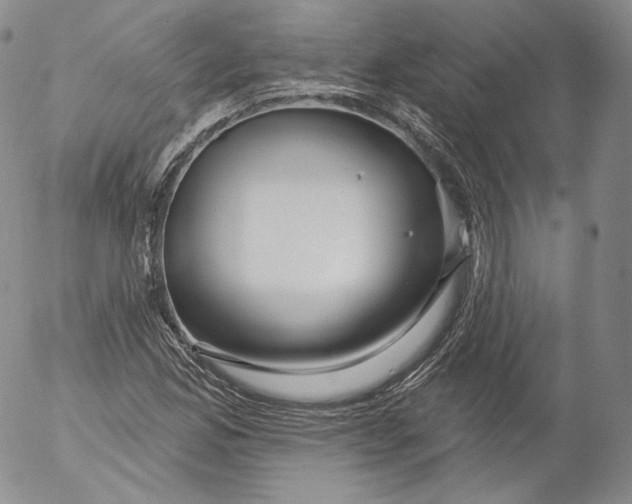 X0000053121165200508012144